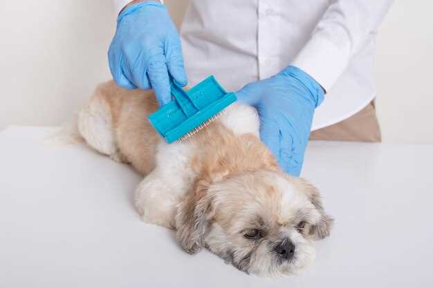 Promoting Dog Antihistamine Hydroxyzine