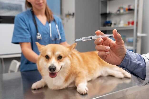 Dog medication hydroxyzine