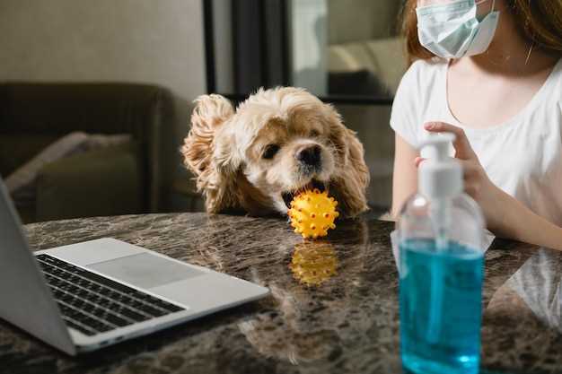 How long does hydroxyzine take to work in dogs