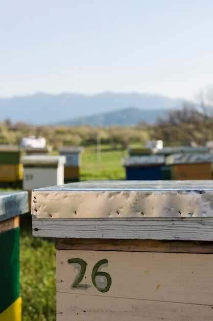 Hydroxyzine vs. benadryl for hives